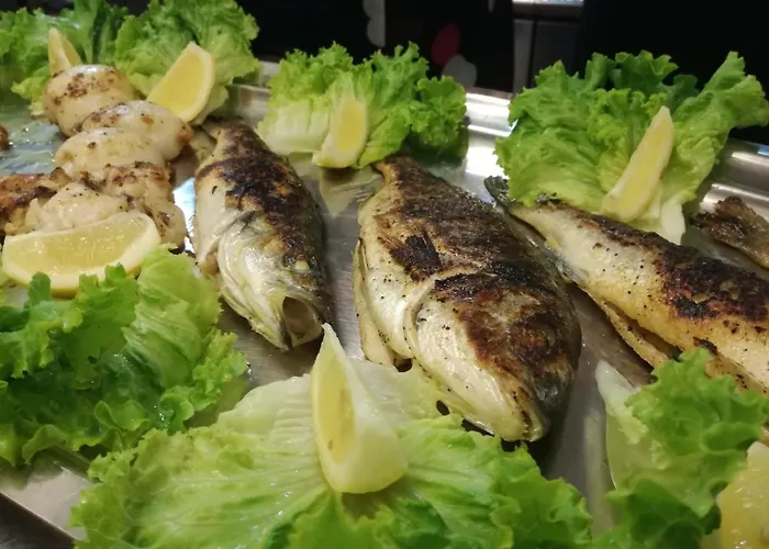 Nevada Ξενοδοχείο 3*