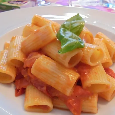 Nevada 3* Бибионе