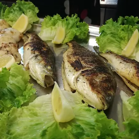 Nevada Отель Бибионе